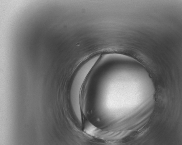 X0000080100164200612221748