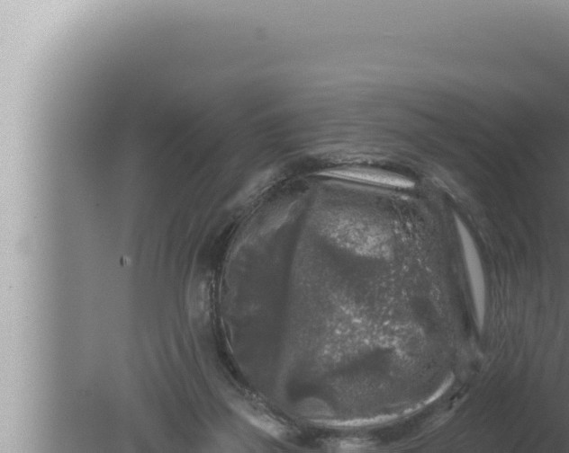 X0000080100165200612221748