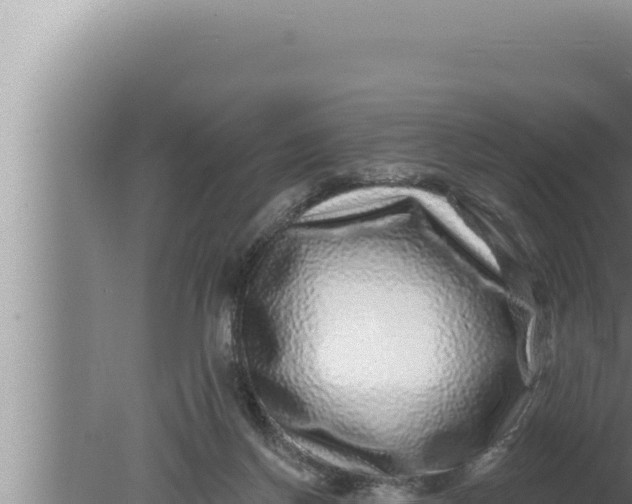 X0000080100166200612221748