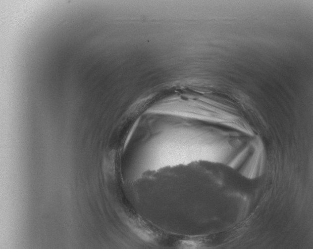 X0000080100167200612221748