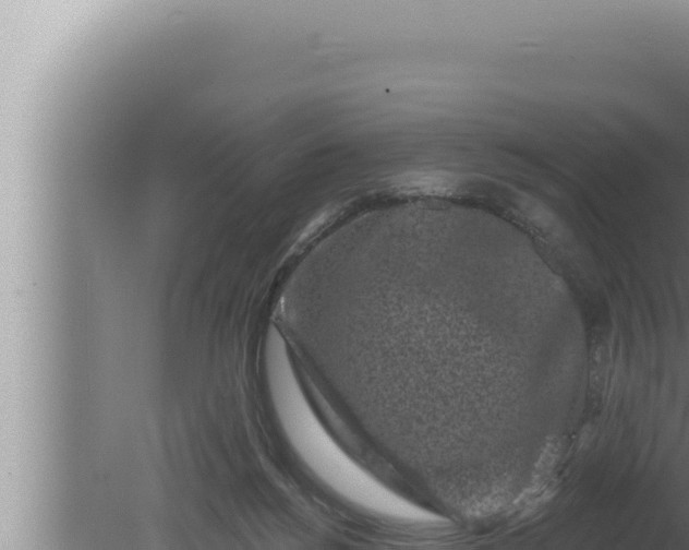 X0000080100168200612221748