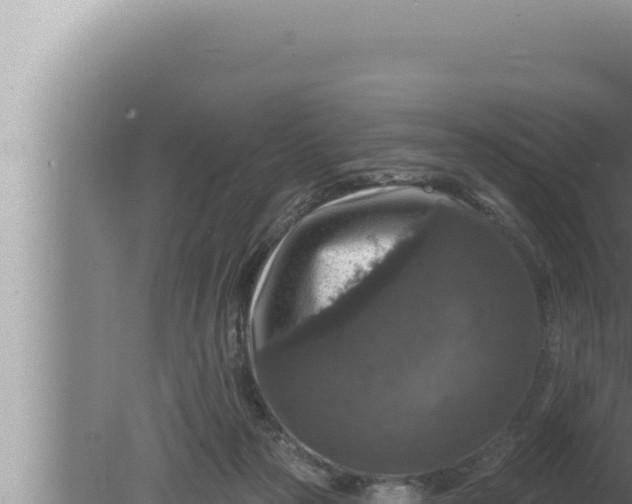 X0000080100169200612221748