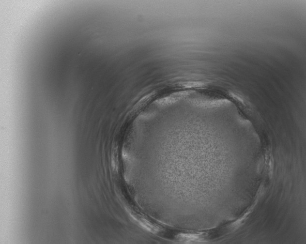 X0000080100170200612221748