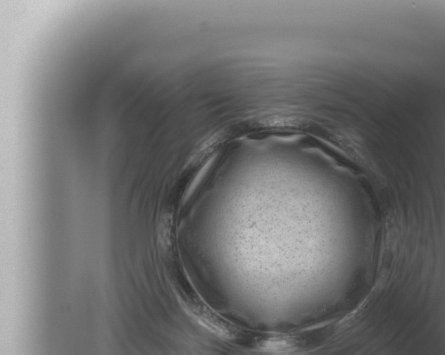 X0000080100171200612221748