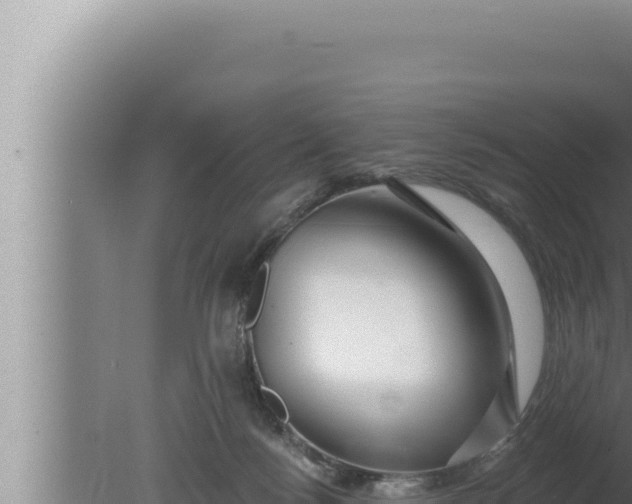 X0000080100172200612221748