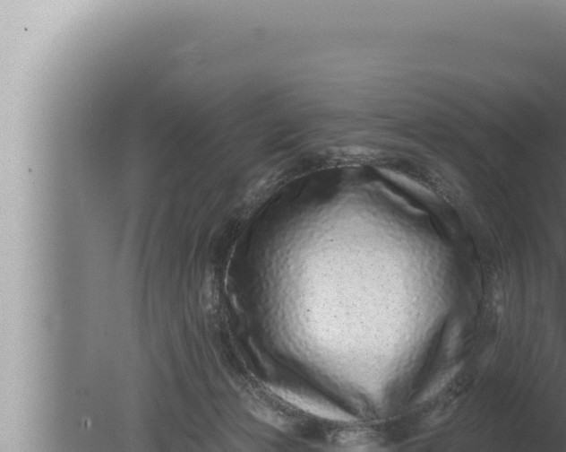 X0000080100173200612221748