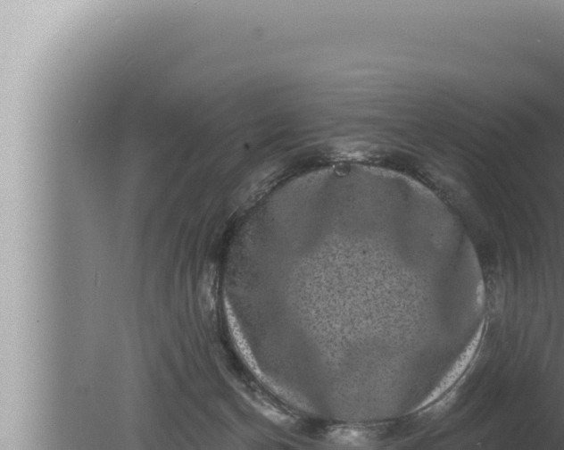 X0000080100174200612221748