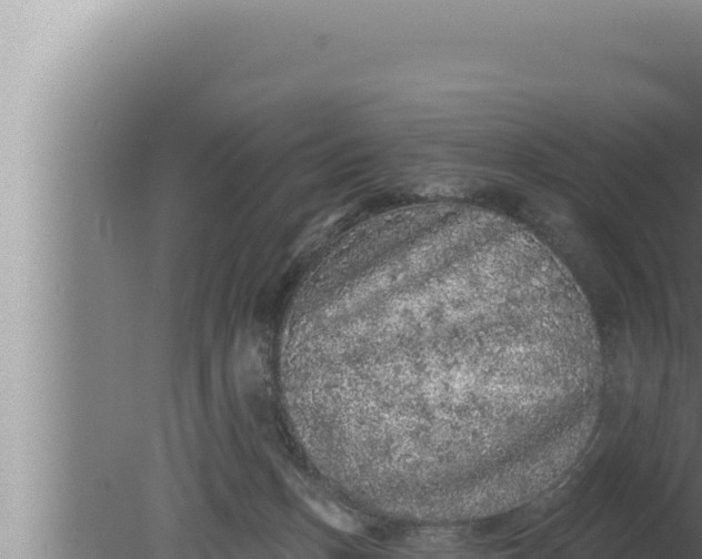 X0000080100175200612221748