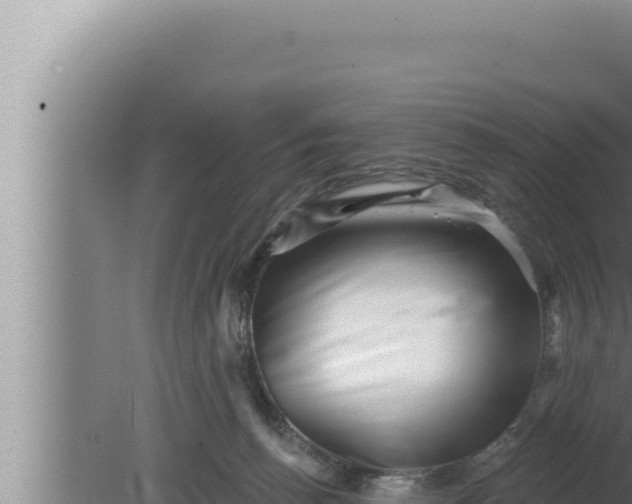 X0000080100176200612221748