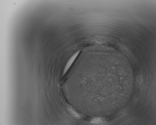 X0000080100177200612221748