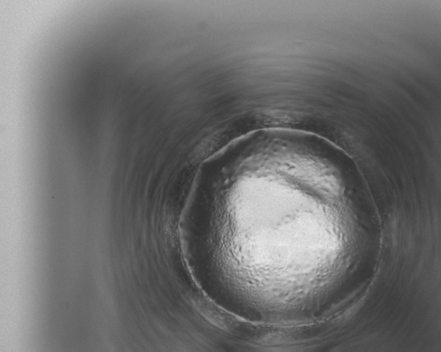 X0000080100178200612221748