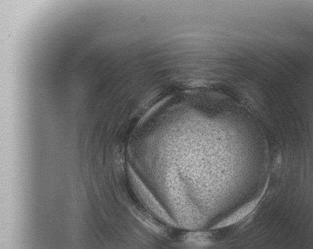 X0000080100179200612221748