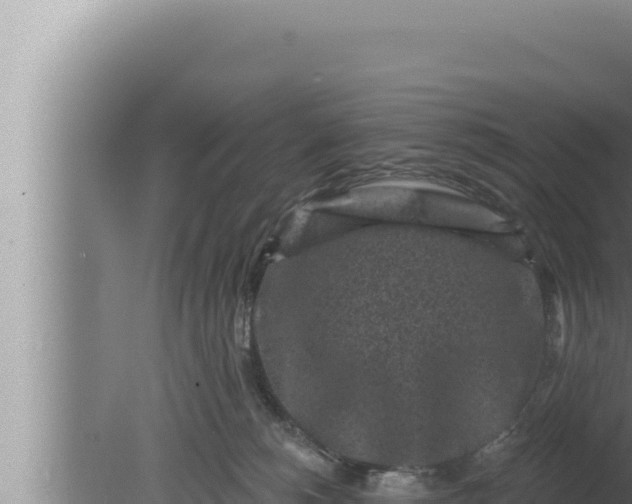 X0000080100180200612221748