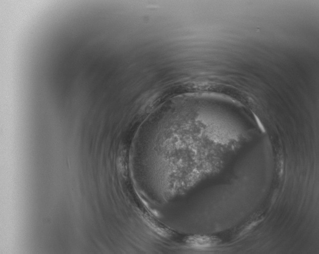 X0000080100181200612221748