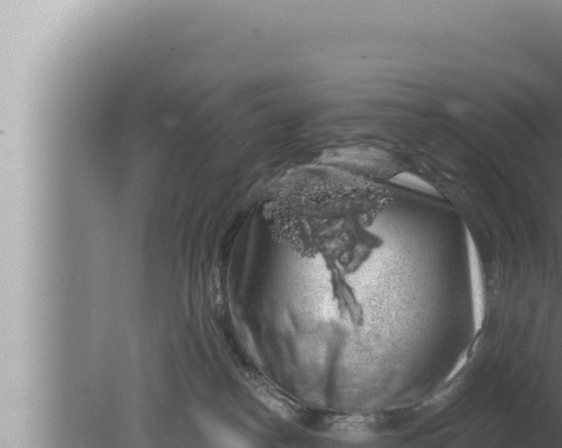 X0000080100182200612221748