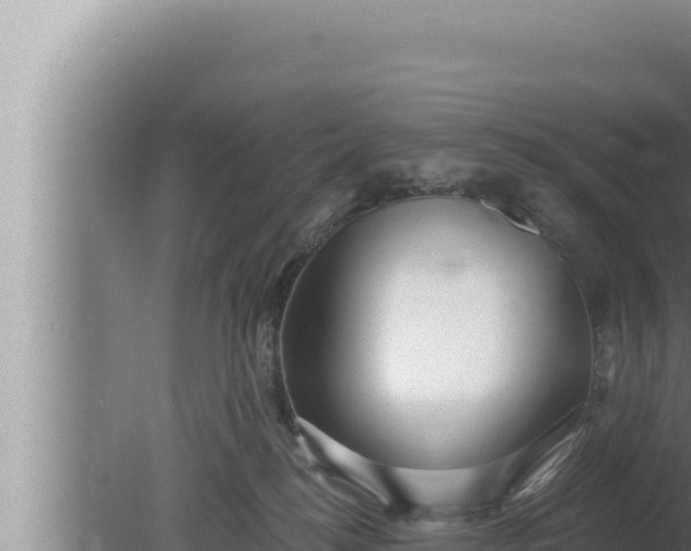 X0000080100184200612221748