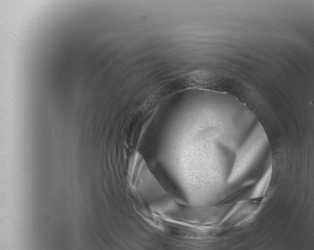 X0000080100186200612221748