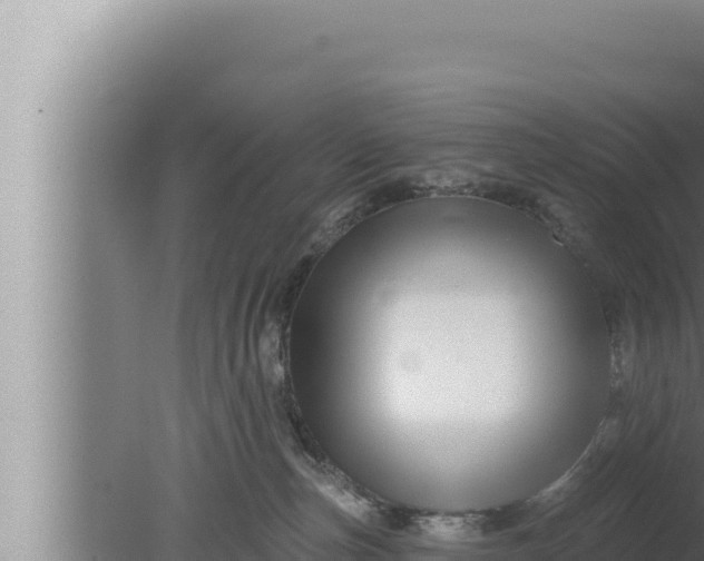 X0000080100187200612221748