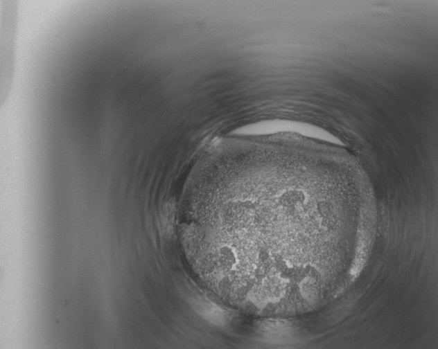 X0000080100189200612221748