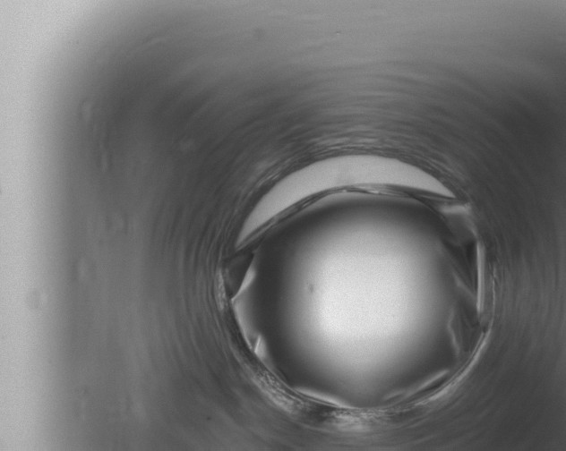 X0000080100190200612221748