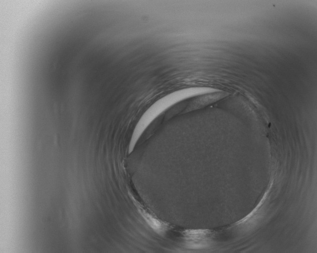 X0000080100192200612221748