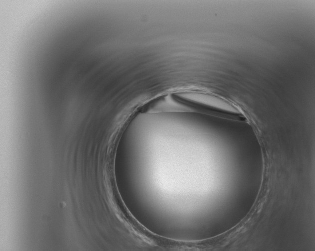 X0000080100193200612221747