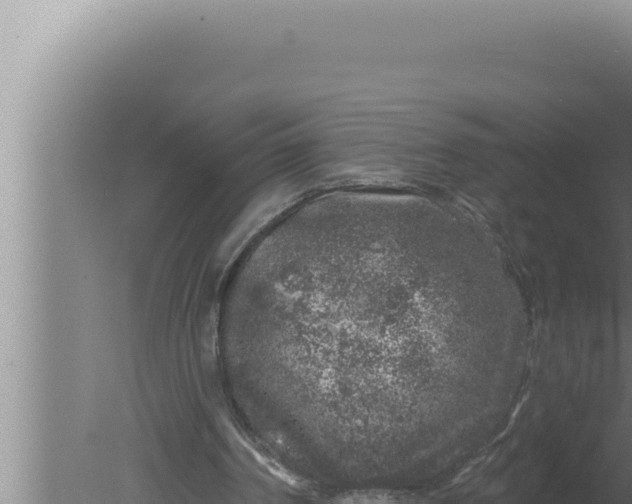 X0000080100194200612221747