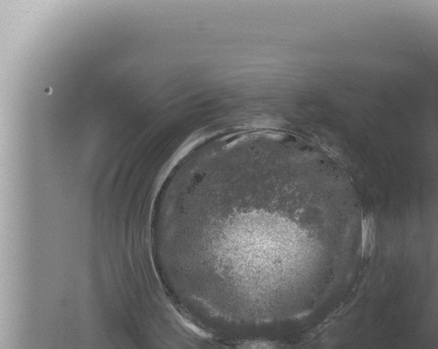 X0000080100195200612221747