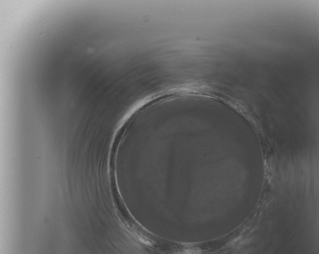 X0000080100196200612221747