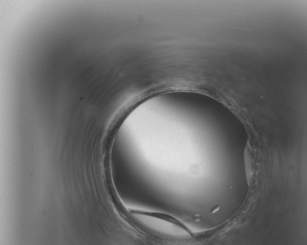 X0000080100197200612221747