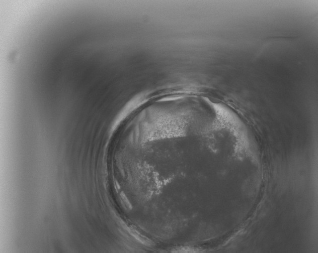 X0000080100198200612221747