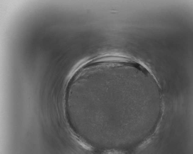 X0000080100199200612221747