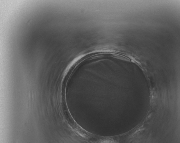 X0000080100200200612221747