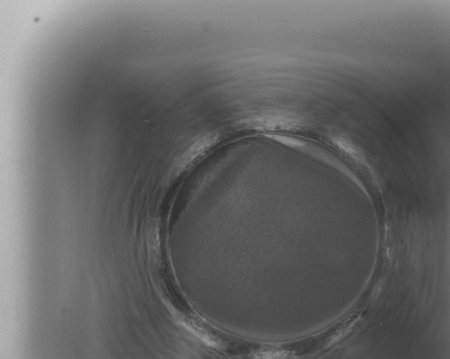 X0000080100202200612221747