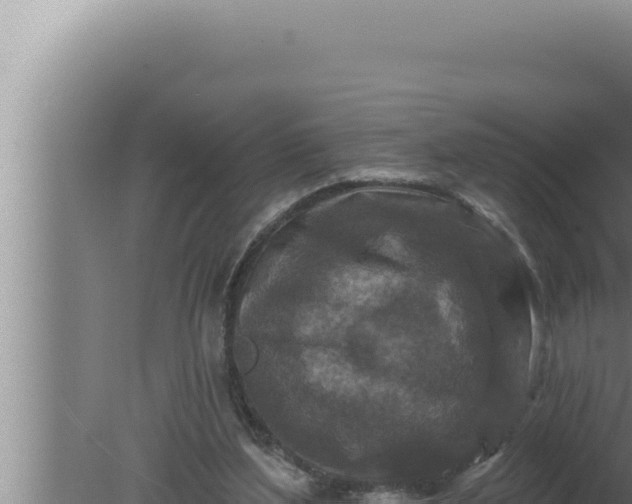 X0000080100204200612221747