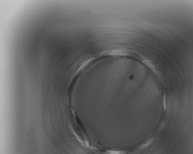 X0000080100205200612221747