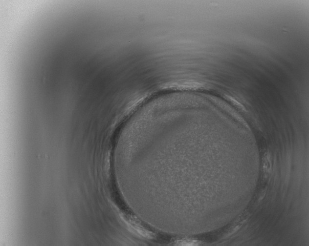 X0000080100206200612221747