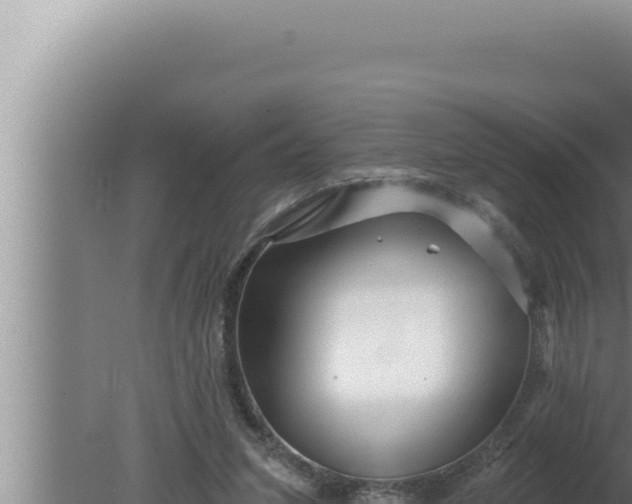 X0000080100207200612221747