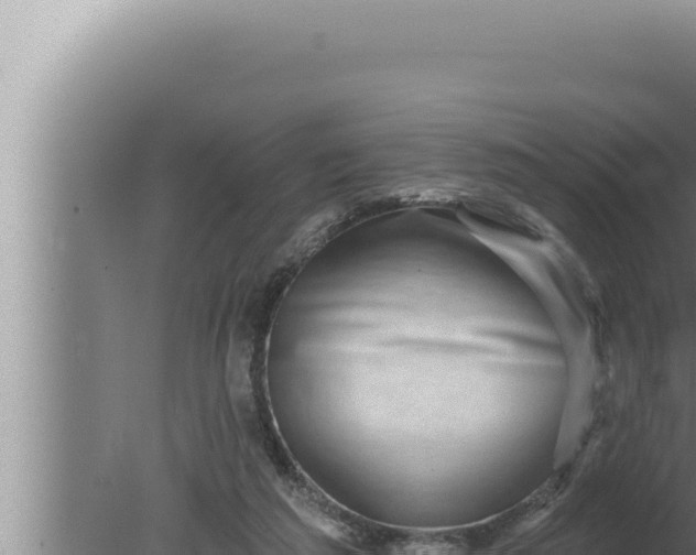 X0000080100209200612221747