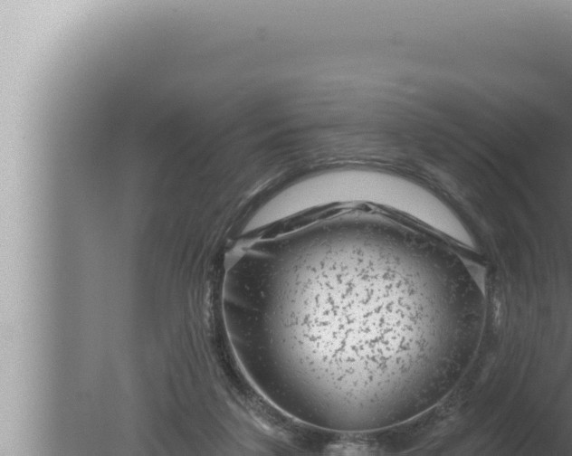 X0000080100211200612221747