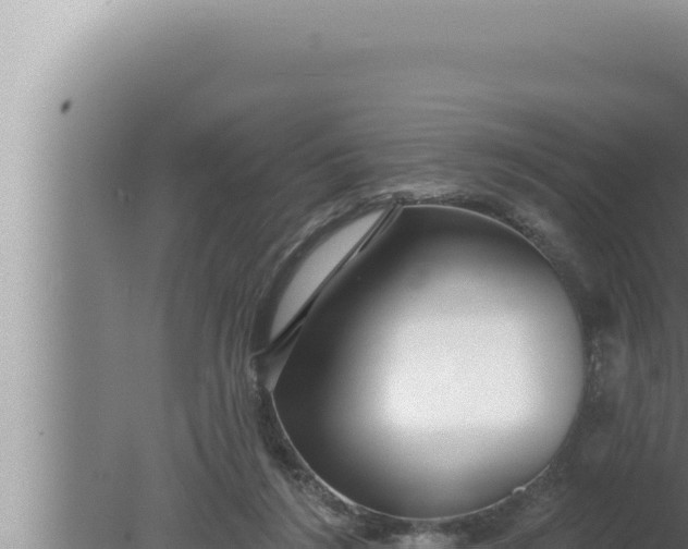 X0000080100212200612221747