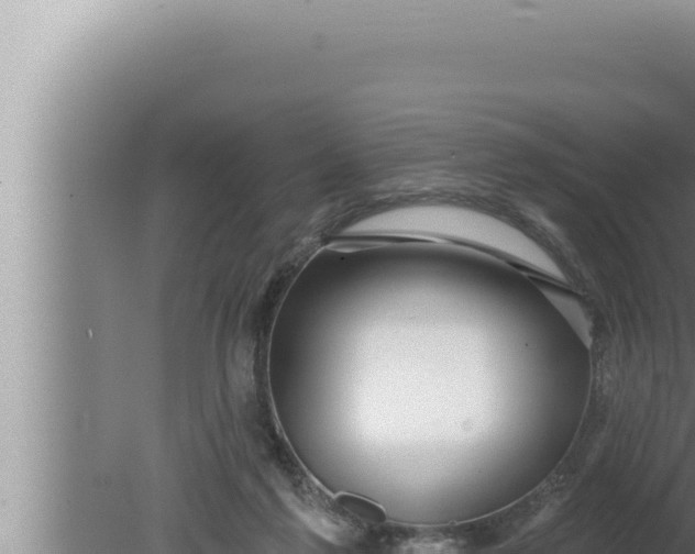 X0000080100213200612221747