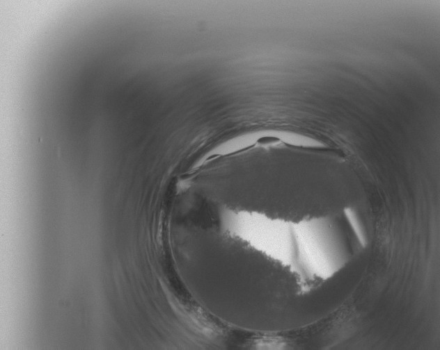 X0000080100214200612221747