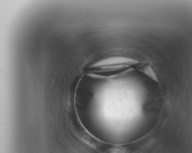 X0000080100215200612221747