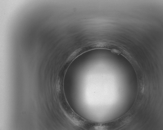 X0000080100216200612221747