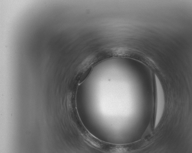 X0000080100217200612221747