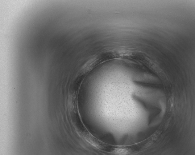 X0000080100218200612221747