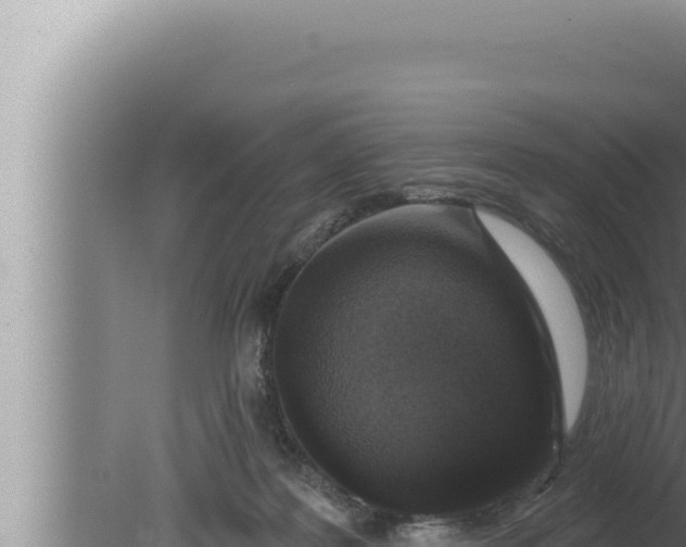 X0000080100219200612221747