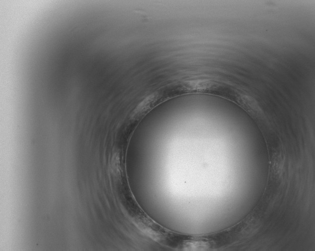 X0000080100220200612221747