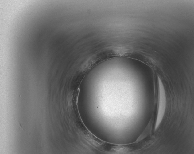 X0000080100221200612221747